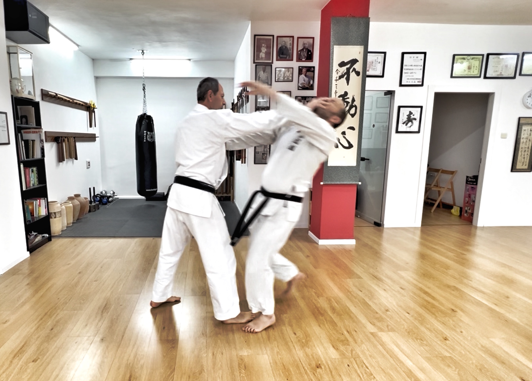 karate bunkai